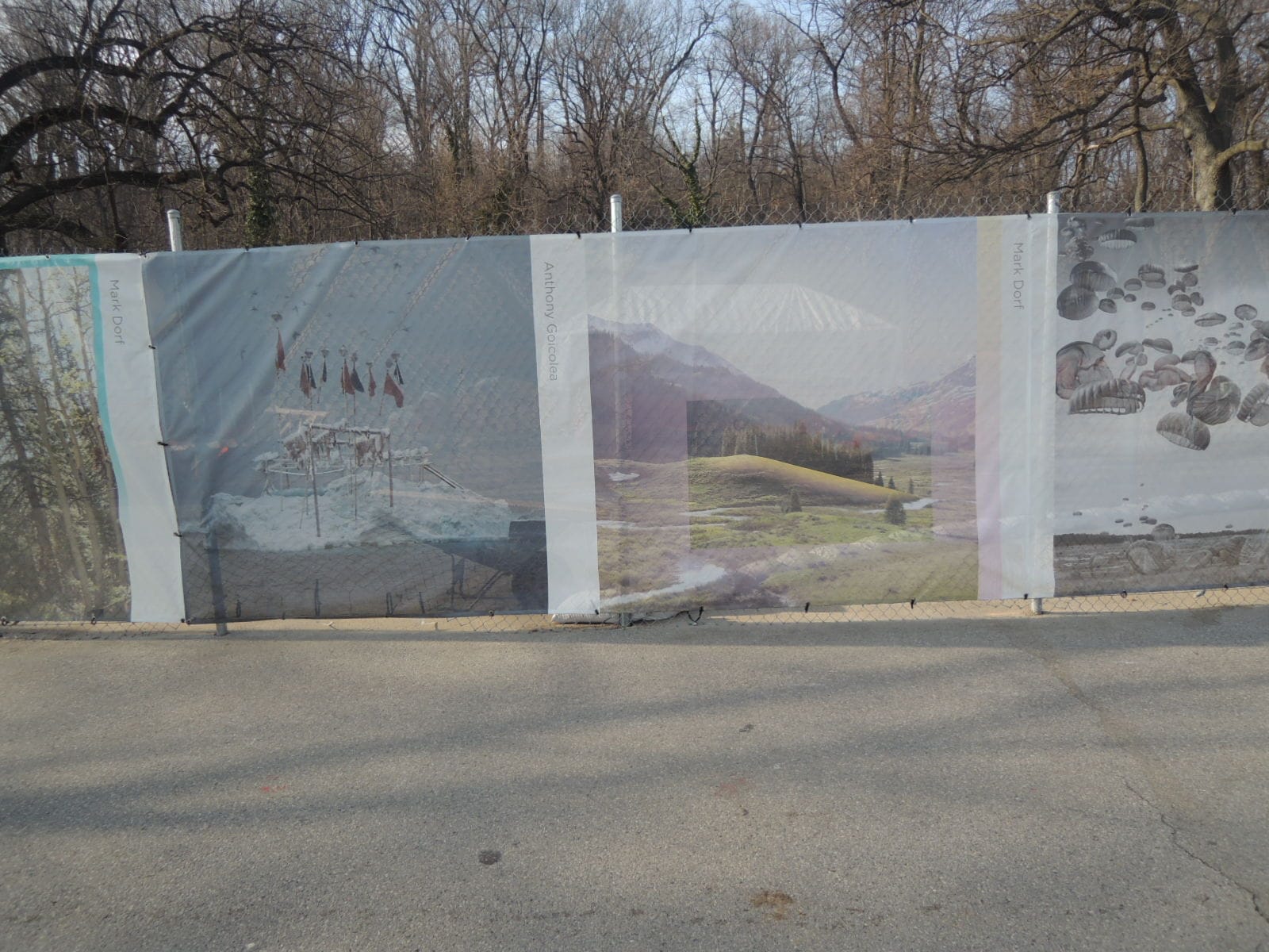 'Natural Disruptions,' installation view (photo by the author for Hyperallergic)