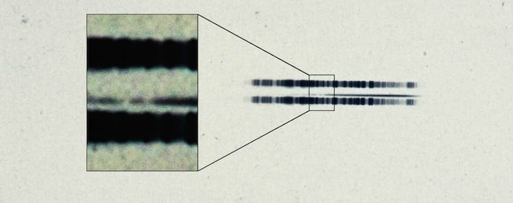 Photographic plate showing the spectrum of the star discovered by Adriaan van Maanen (1917) (courtesy Carnegie Institution for Science)