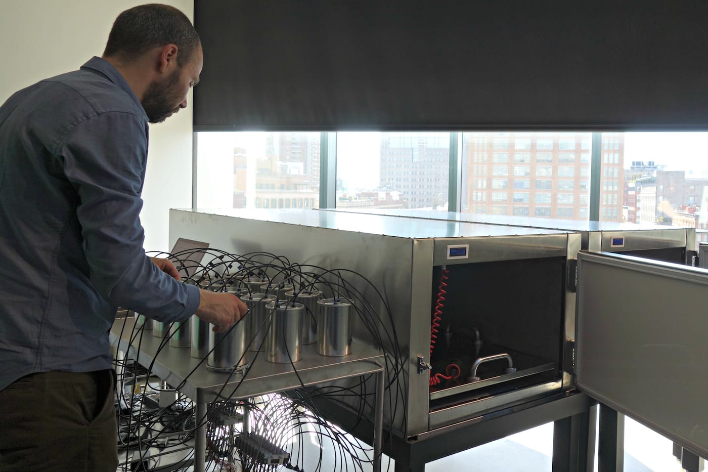 'Famous Deaths' installation view