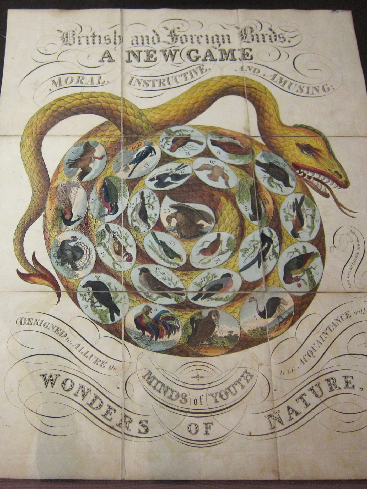 "British and Foreign Birds" (1820)