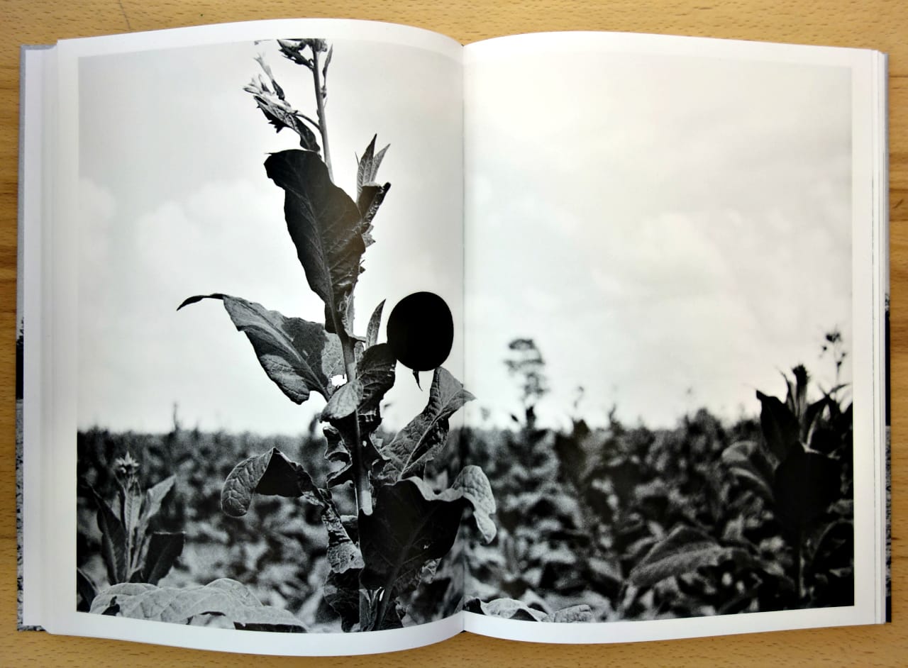 Pages from 'Ground' (photo of the book for Hyperallergic)