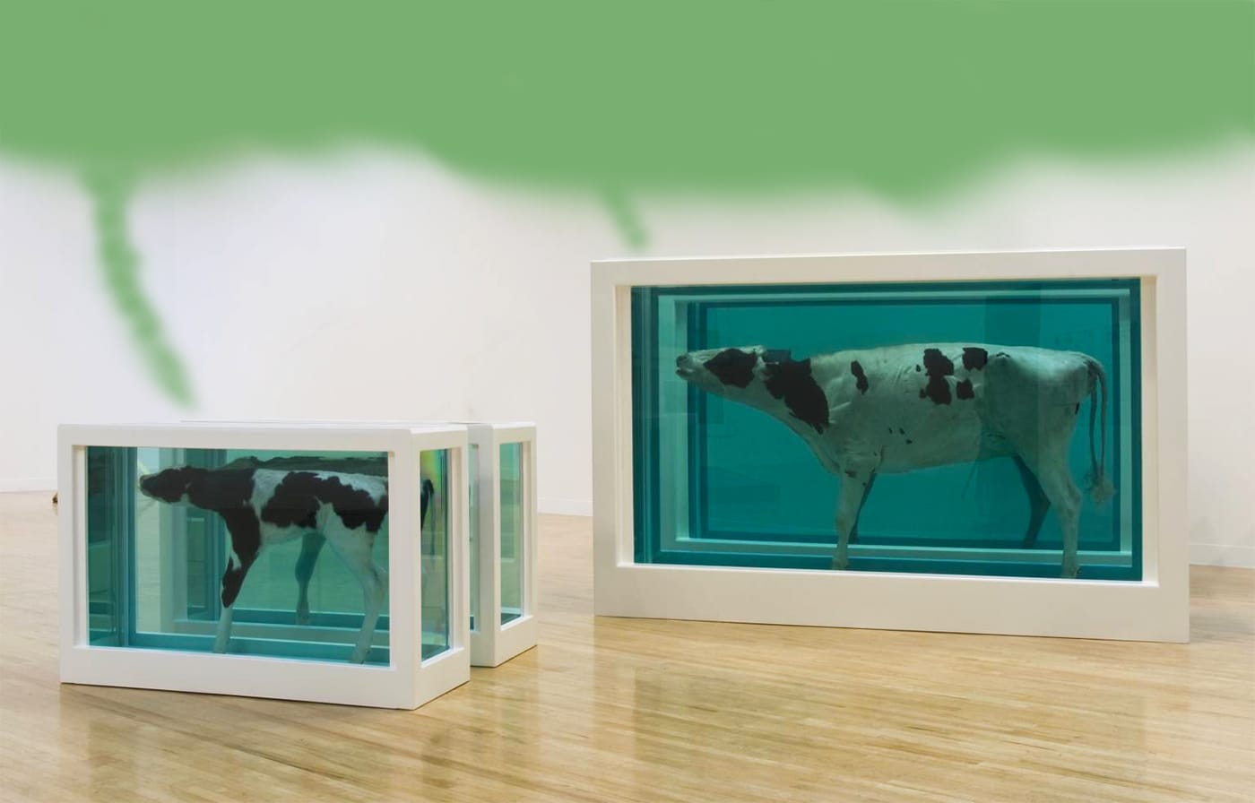 Artist's rendering of toxic fumes escaping from Damien Hirst's "Mother and Child (Divided)" (1993) (Benjamin Sutton/Hyperallergic)