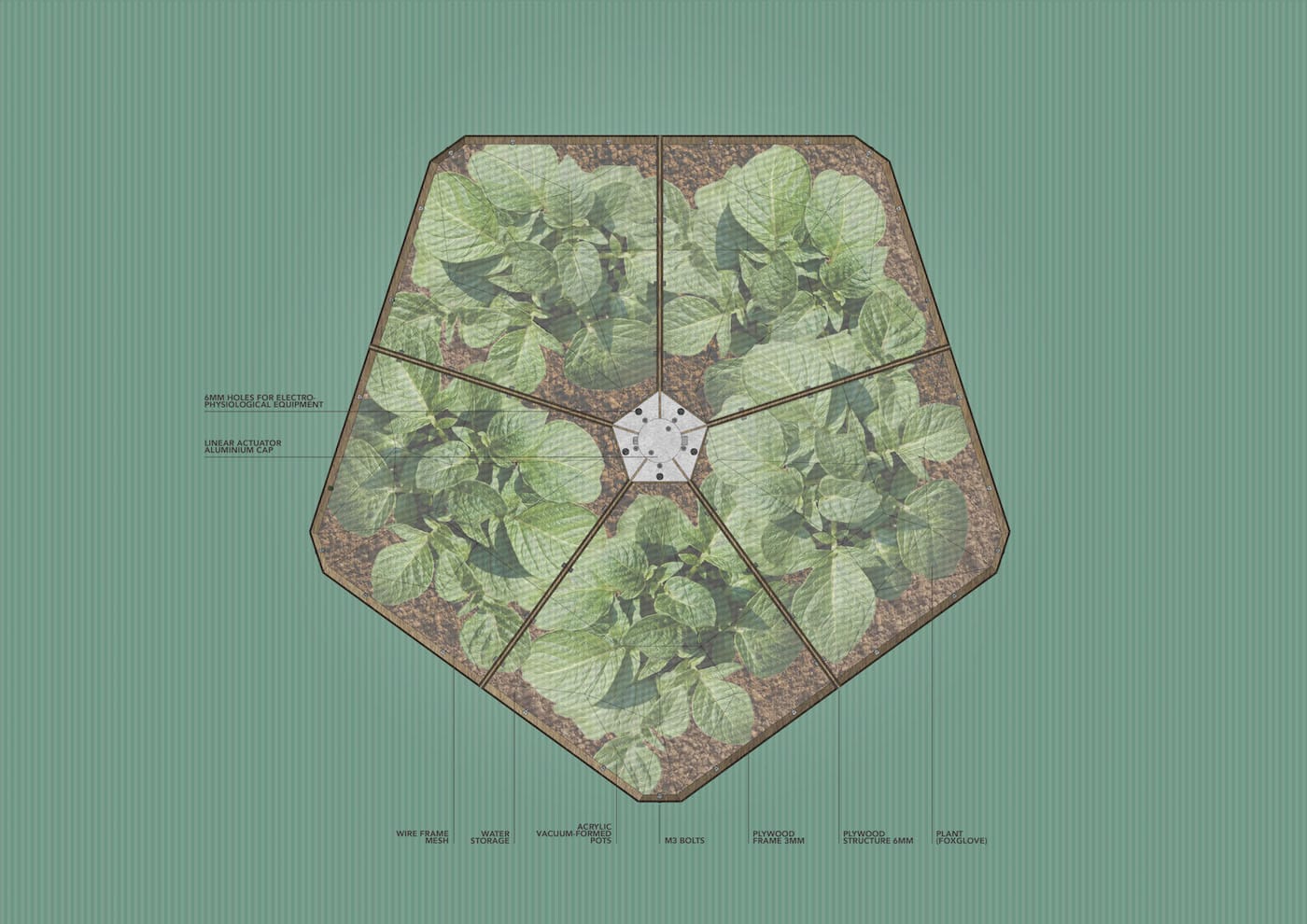 HortummachinaB_drawing_garden_plan