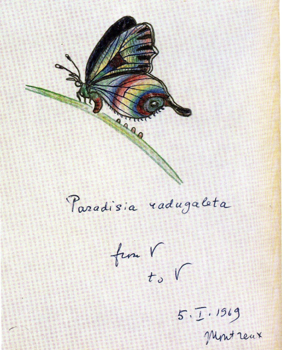 Fine Lines: Vladimir Nabokov's Scientific Art 