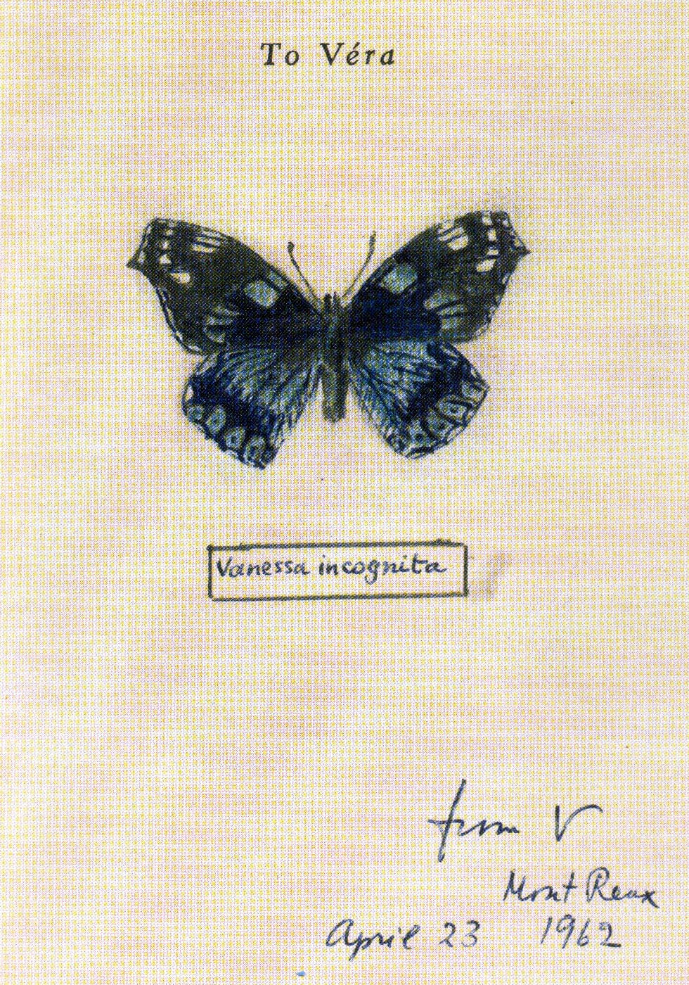 Fine Lines: Vladimir Nabokov's Scientific Art 