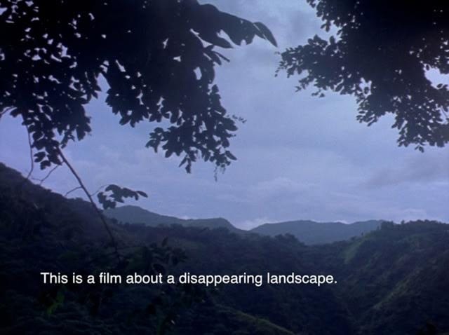 Beatriz Santiago Muñoz, video still from "Farmacopea" (via laureldoody.com)