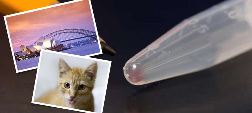 uanib1w5ctqm2hyhyel9