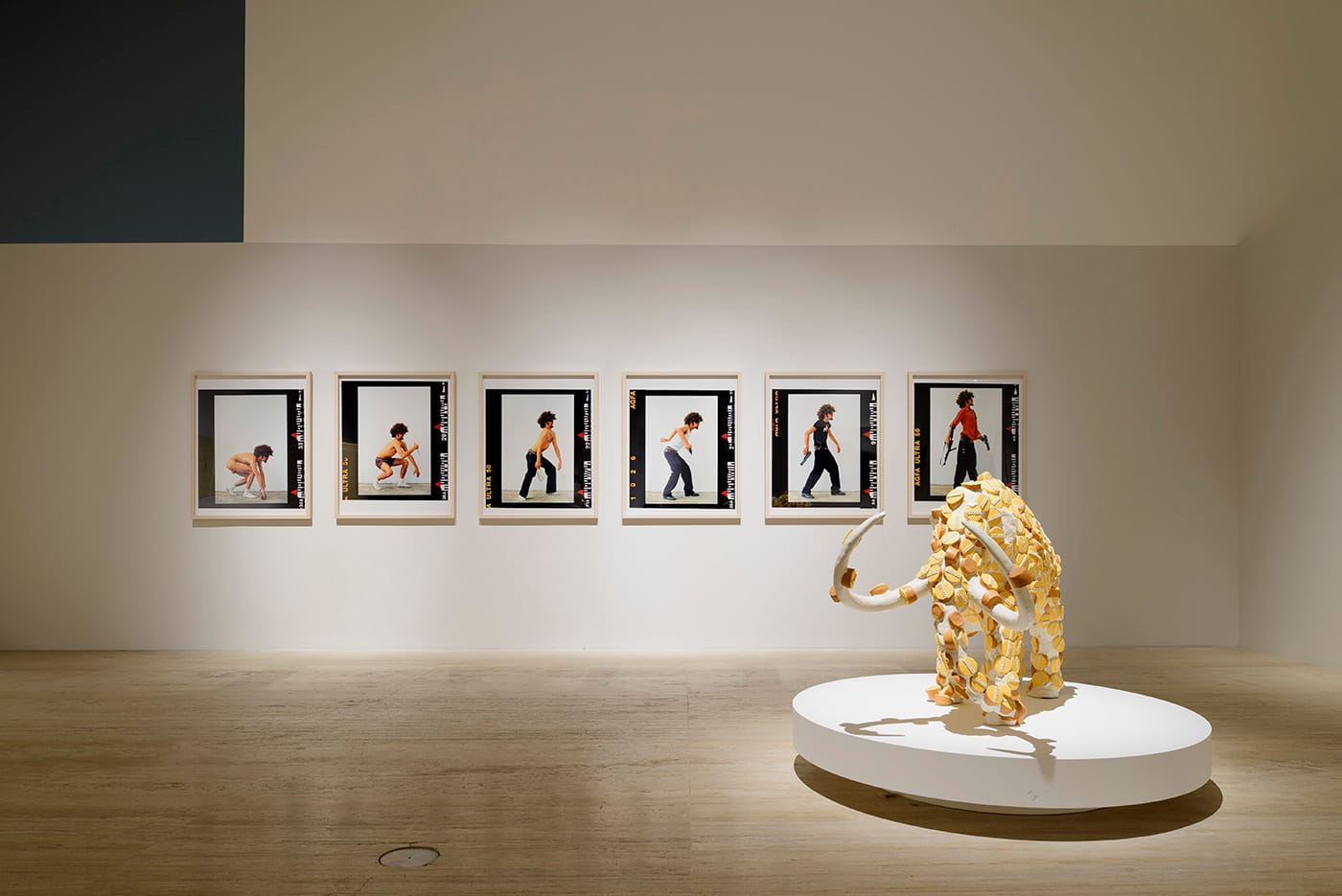 Installation view of 'The Natural Order of Things' at Museo Jumex (all photos courtesy Museo Jumex)