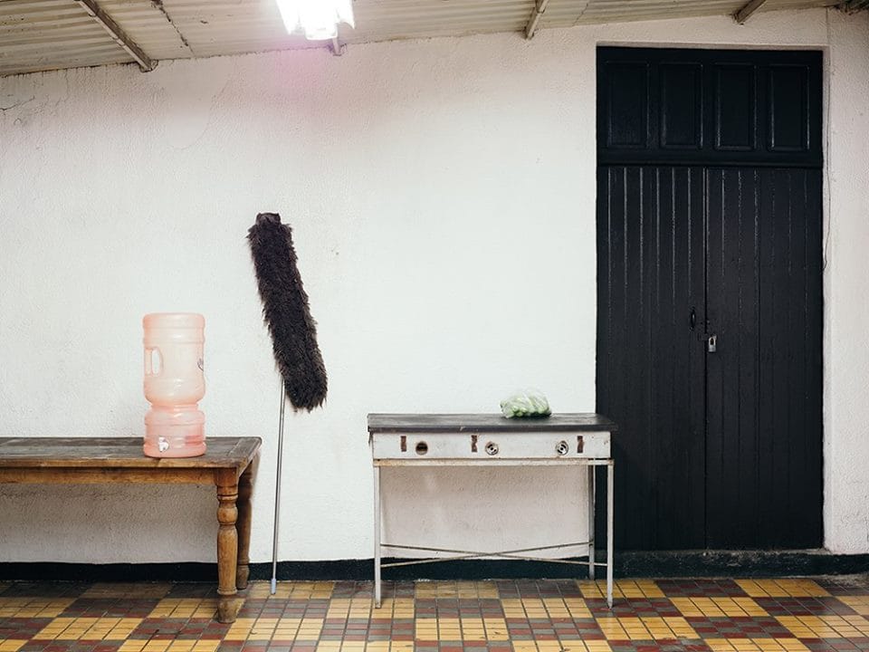 Carmen Argote, "Mansión Magnolia" (via facebook)