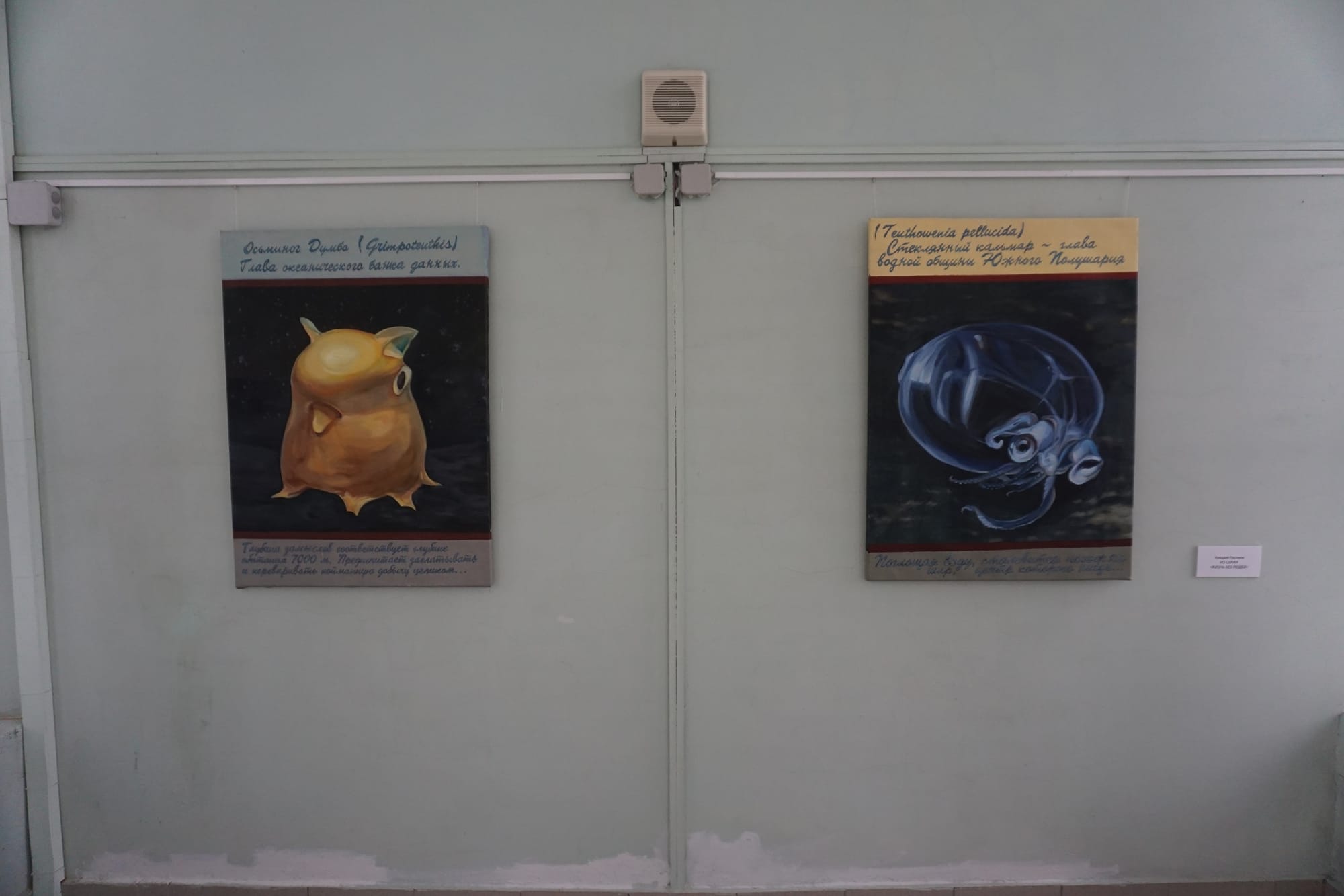 Arkady Nasonov, from the series 'Life Without People" (2016), oil on canvas, 70 x 90 cm (courtesy State Darwin Museum)