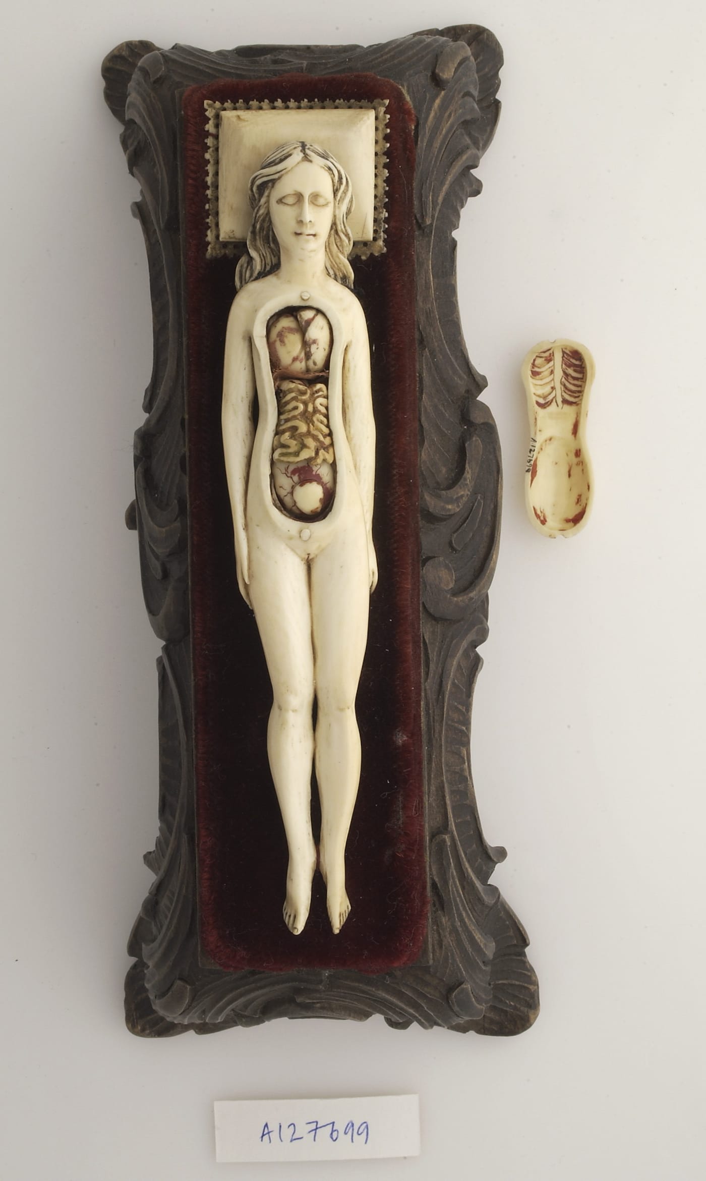 L0035643 Ivory anatomical model of a pregnant female Credit: Wellcome Library, London. Wellcome Images images@wellcome.ac.uk http://wellcomeimages.org Ivory anatomical model of a pregnant female with removable parts possibly used by obstetric specialists or midwives to provide reassurance for pregnant women. Possibly German Photograph 17th century Published: - Copyrighted work available under Creative Commons Attribution only licence CC BY 4.0 http://creativecommons.org/licenses/by/4.0/