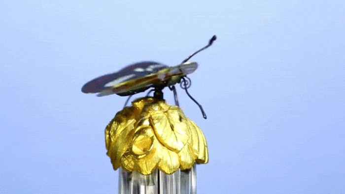 The butterfly on a musical automaton bird cage clock from 1825-30 (GIF by the author for Hyperallergic, via Sotheby's/YouTube)