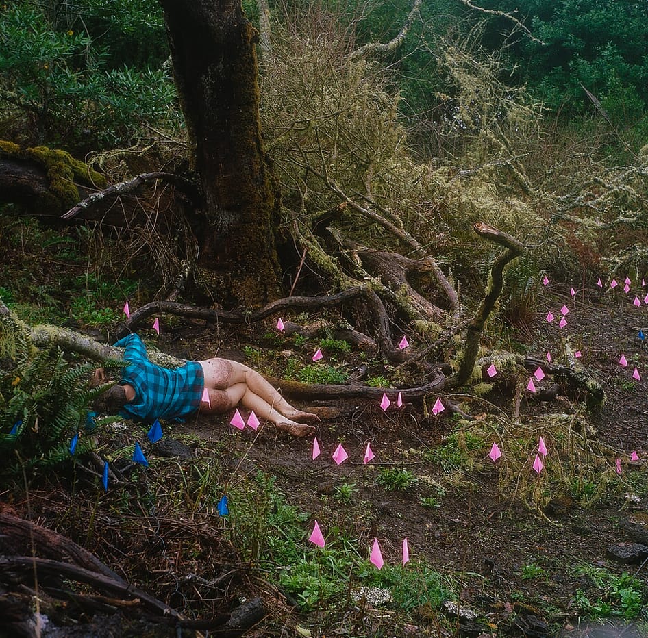 Renee, "The flags to mark where my body has been" (2016), unique analog c-print, 20 x 20 in