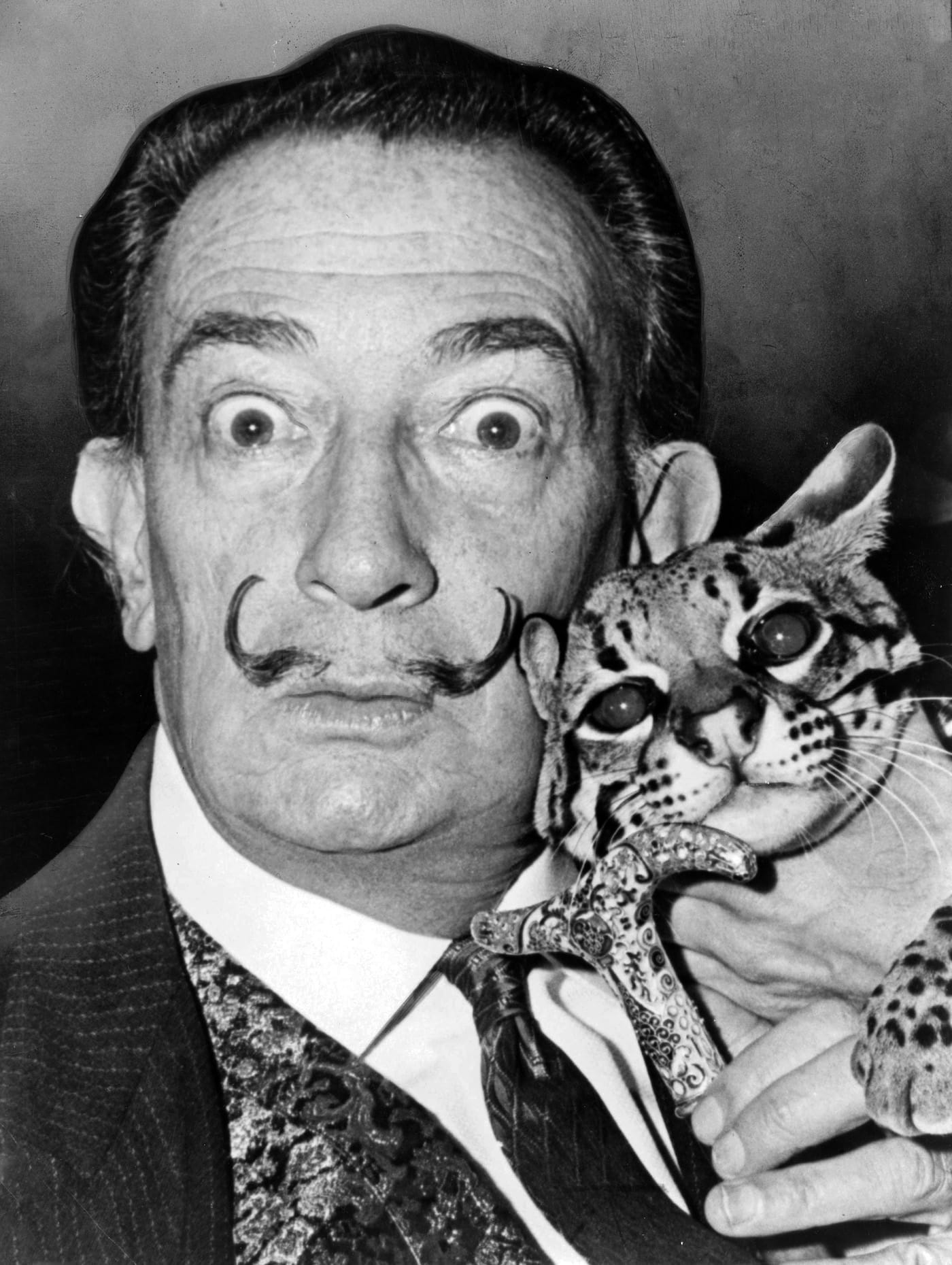 Salvador Dalí and his ocelot Babou (1965) (photo by Roger Higgins, via Library of Congress/Wikimedia)