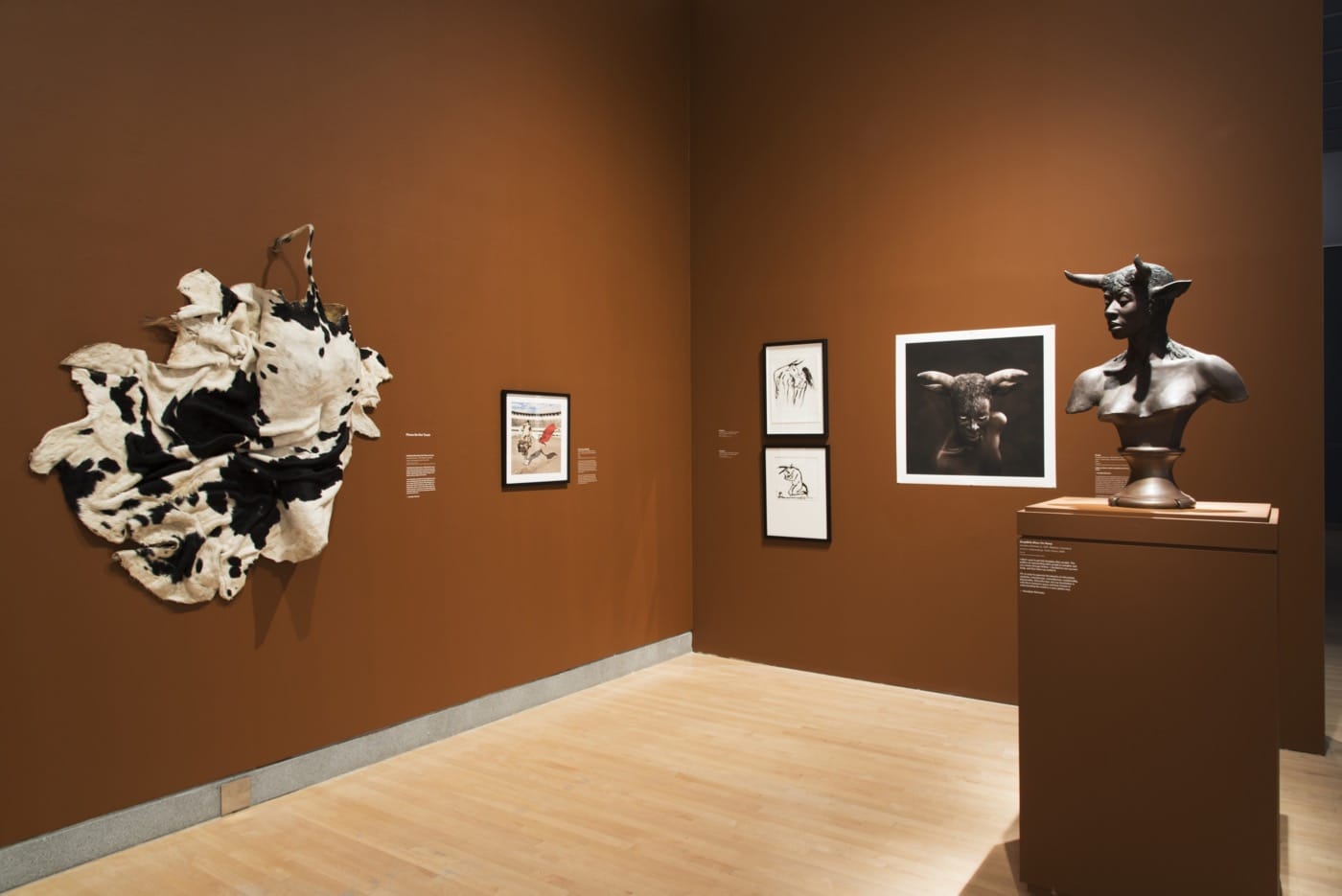 Disguise- Masks and Global African Art Installation Views (C) Johnathan Dorado(3)