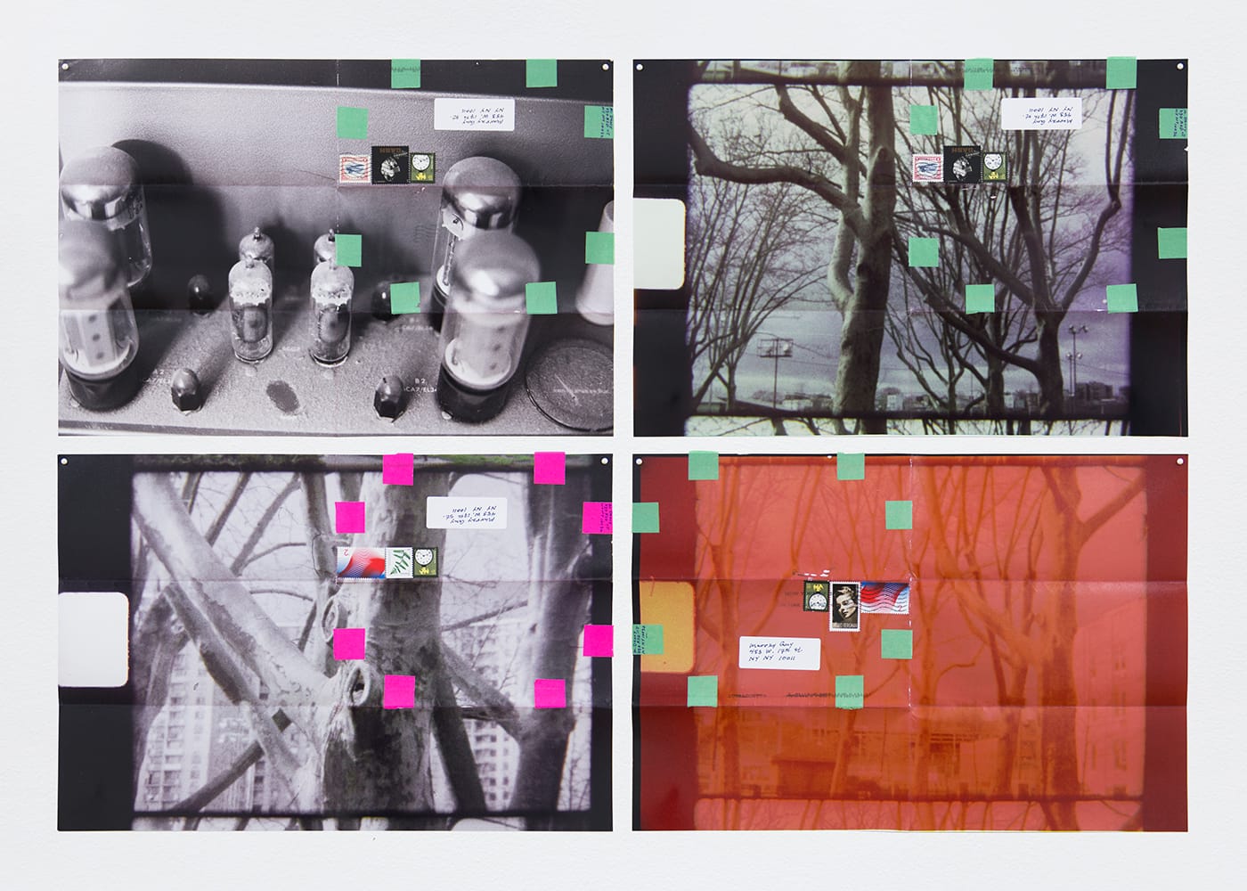 Moyra Davey, "Dust, Amp, Trees" (2016), 4 c-prints, tape, postage, ink, 12 x 18 inches each, 24 1/2 x 36 1/2 inches overall (all images courtesy the artist and Murray Guy, New York)