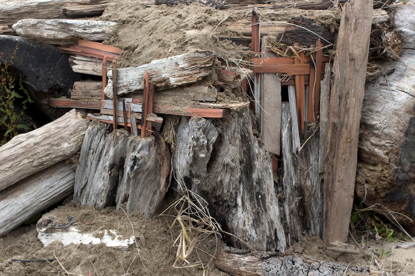 Frontal view of Adam Donnelly and David Janesko's site-specific camera constructed at Gazo’s Creek, CA in 2014 (all images courtesy the artists)