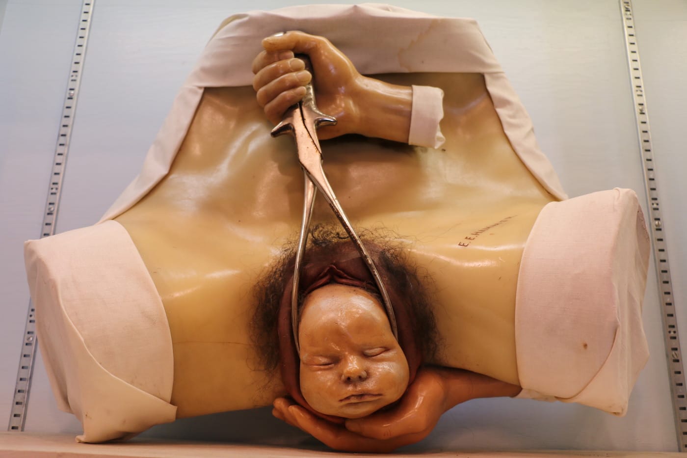 A model in 'House of Wax' at the Morbid Anatomy Museum (click to enlarge)