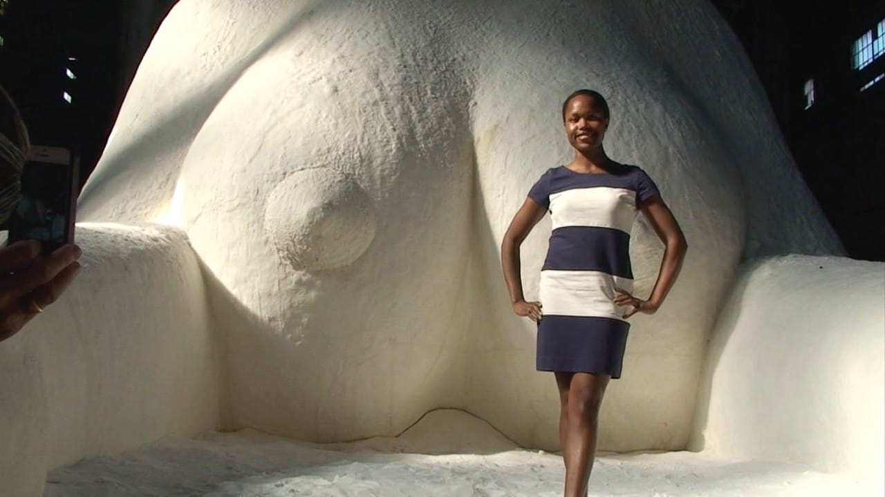 Kara Walker, still from "An Audience / Rhapsody (2014) Digital video with sound, courtesy of Sikkema Jenkins & Co., New York.