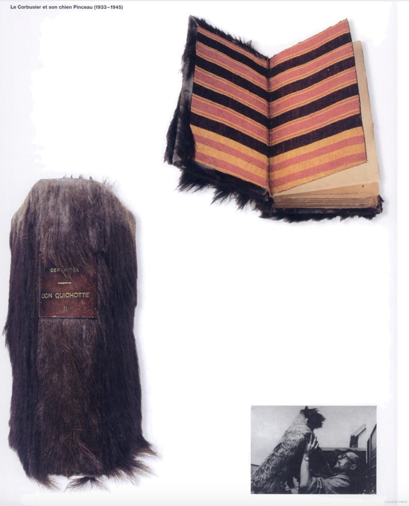 Le Corbusier's copy of Don Quixote made from the skin of his dog Pinceau (screenshot from Catherine de Smet's 'Le Corbusier: un architecte et ses livres' on Google Books)