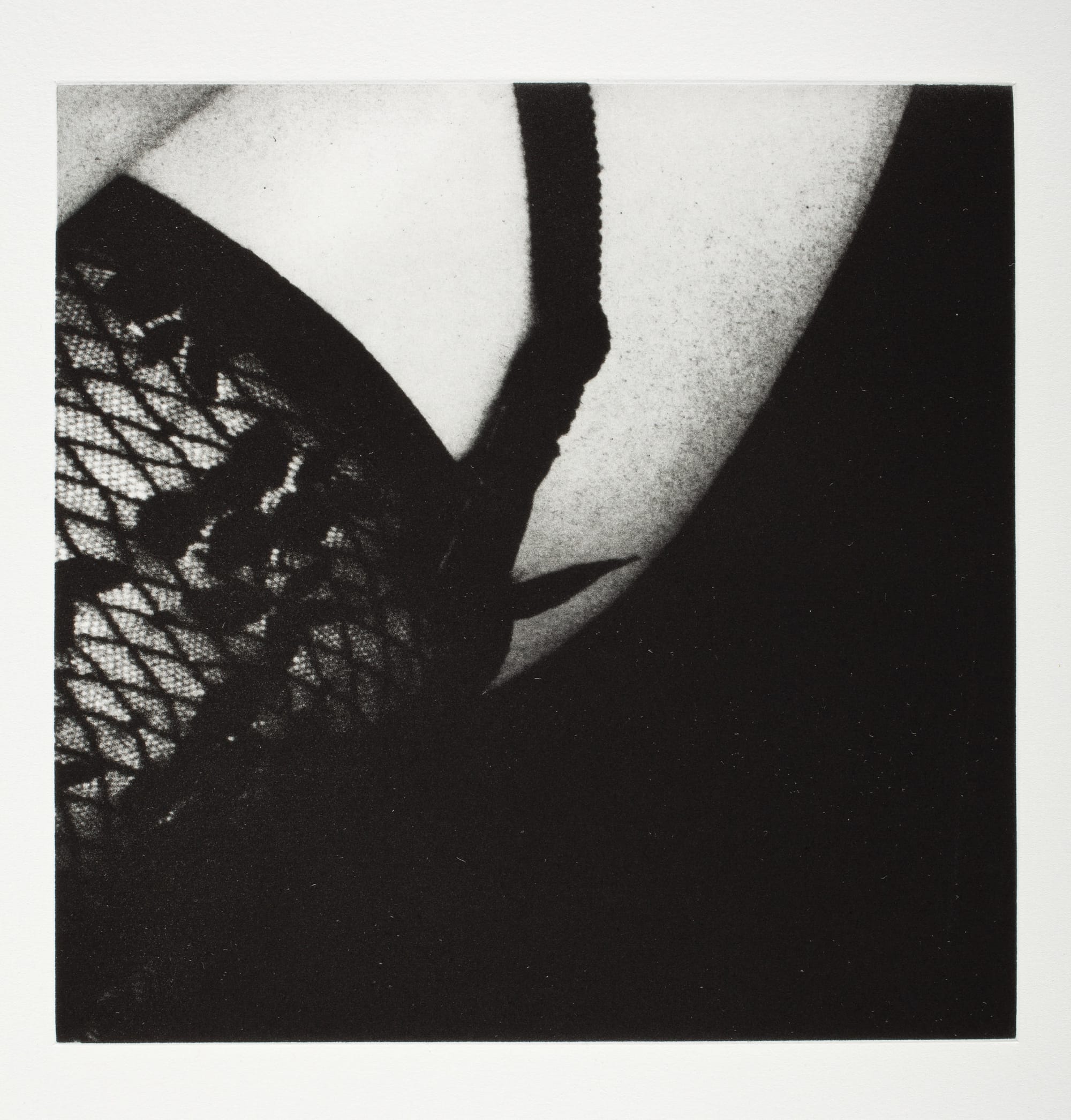 Catherine Opie, "O Portfolio" 1999