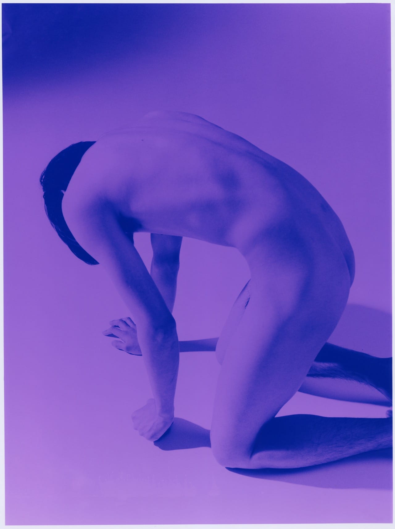 Mayumi Hosokura “Cat (Blue)” (2014) 