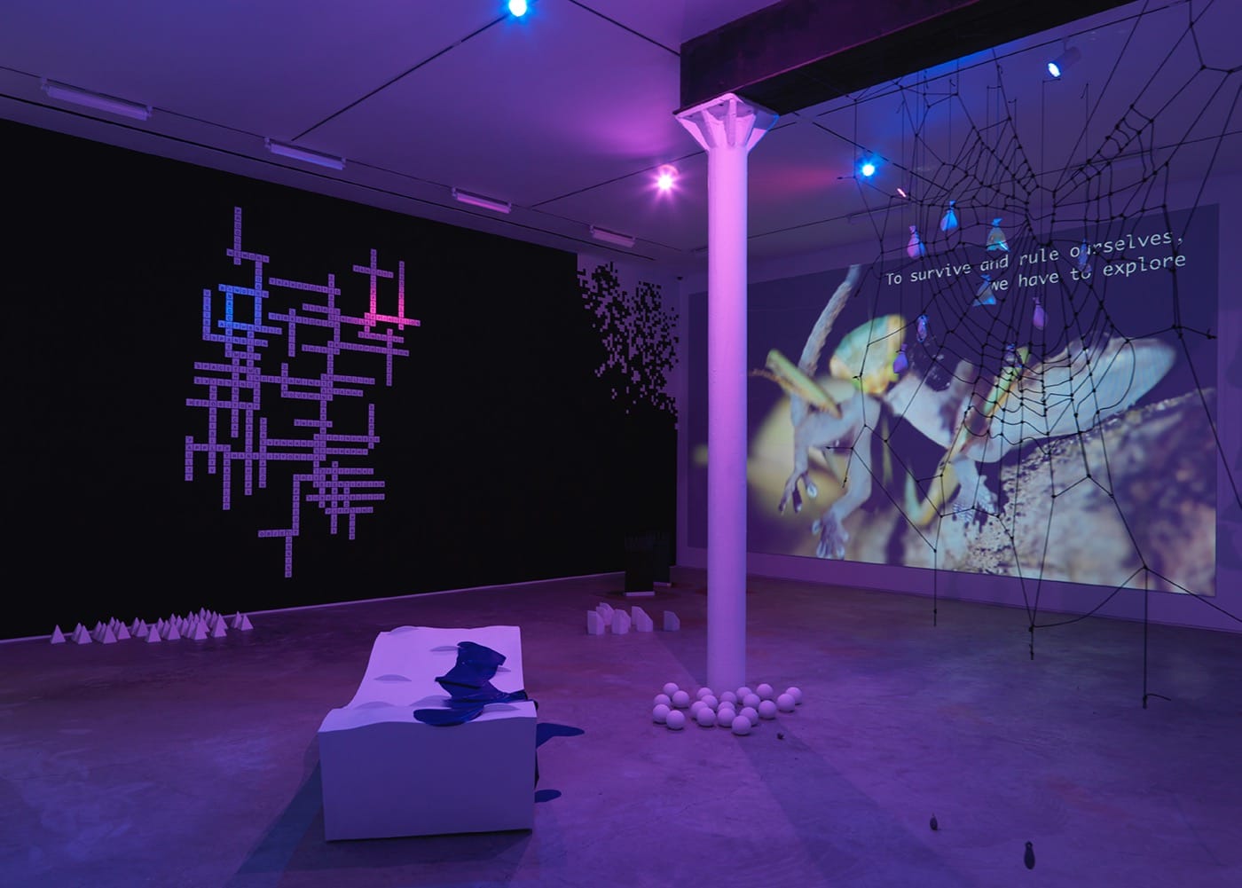 Another gallery view