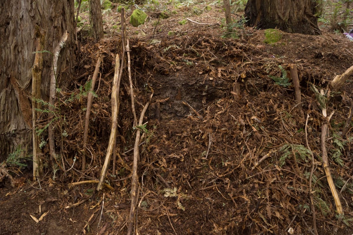 SSC009 Pescadero Creek camera