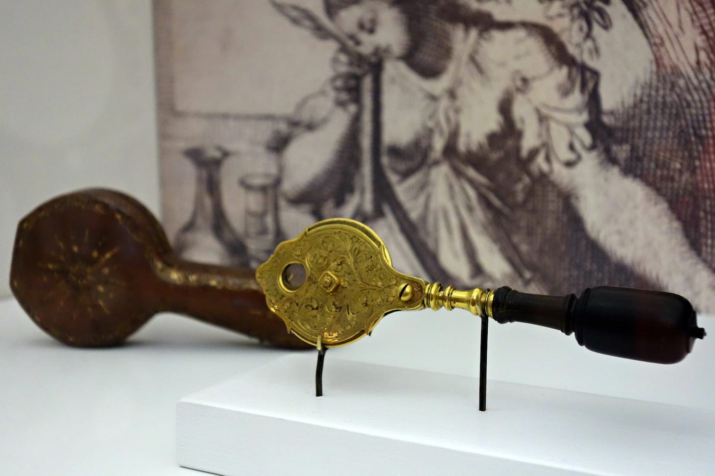 Revealing the Invisible: The History of Glass and the Microscope