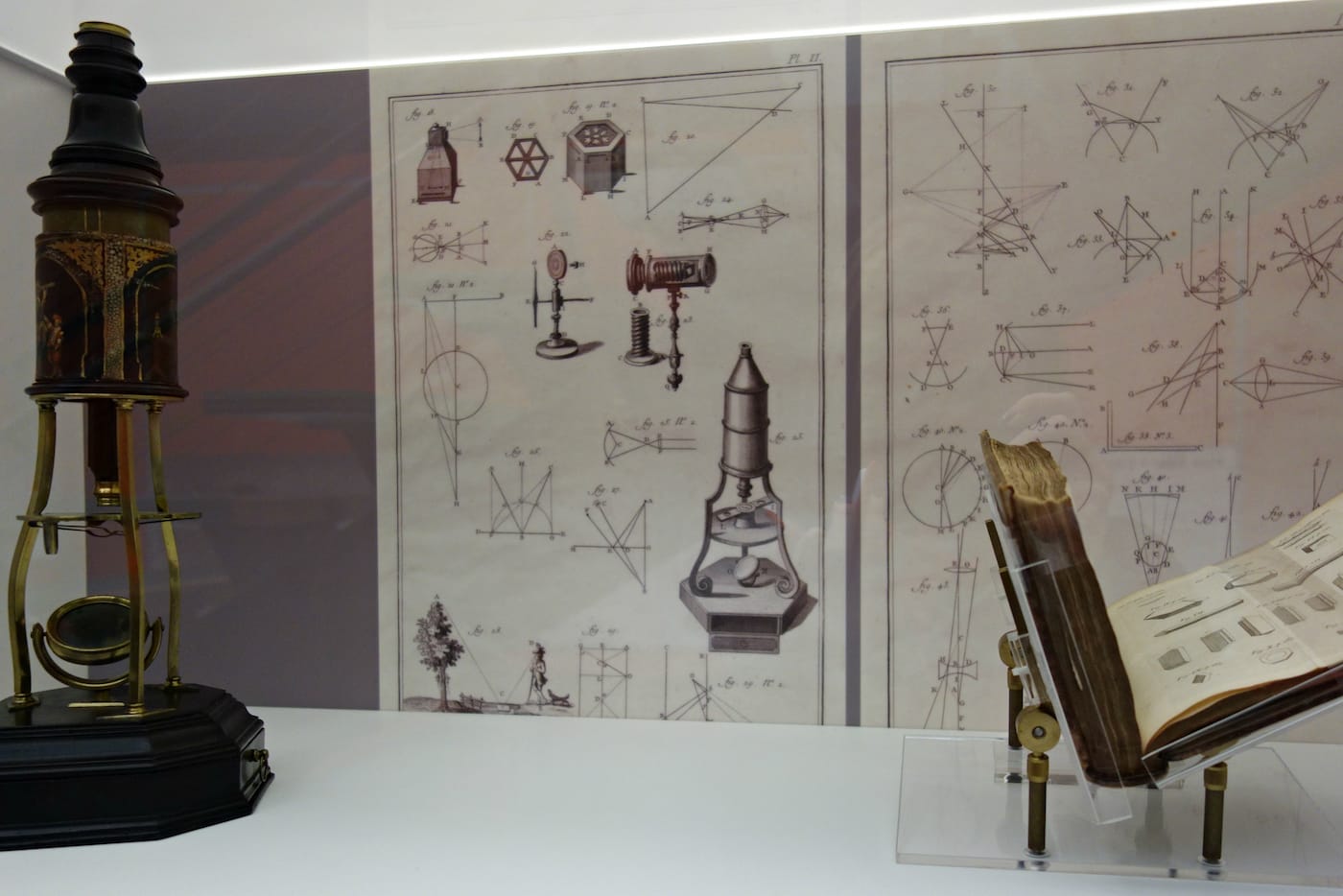 Revealing the Invisible: The History of Glass and the Microscope