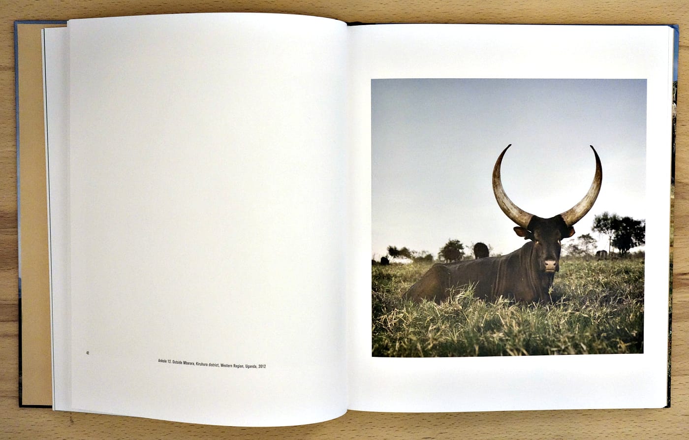 Pages from 'Sightings of the Sacred' (photo of the book for Hyperallergic)