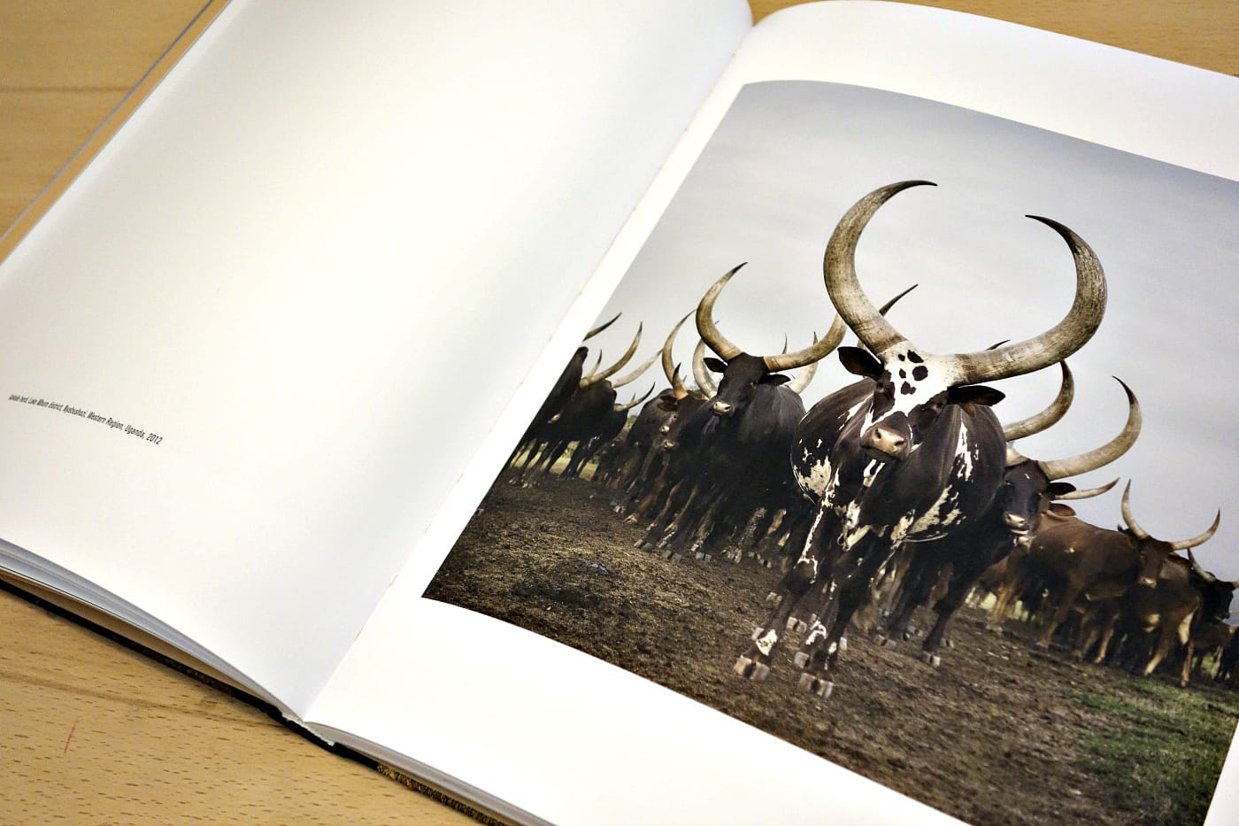 Pages from 'Sightings of the Sacred' (photo of the book for Hyperallergic)
