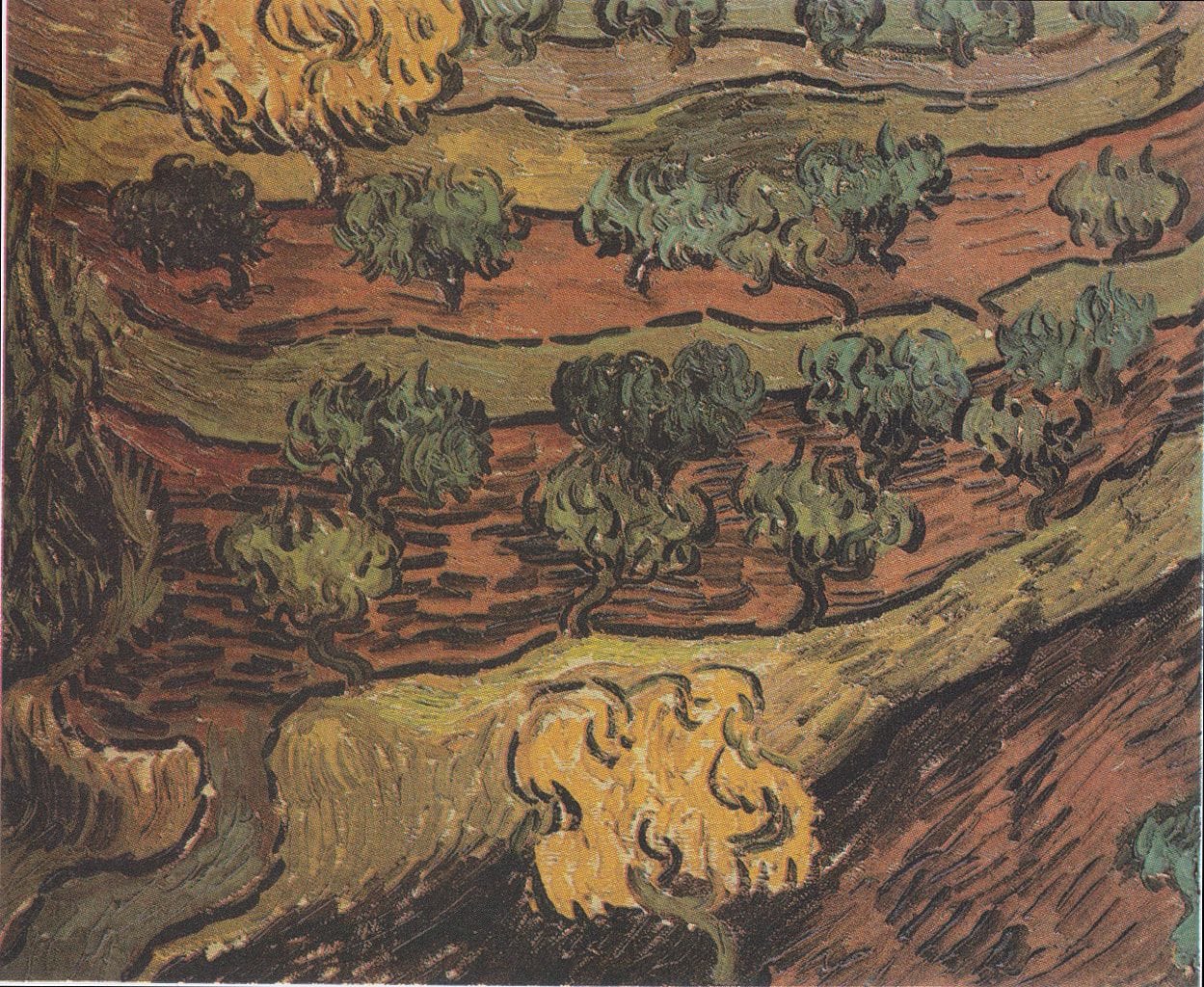 1249px-Van_Gogh_-_Olivenbäume_auf_einem_Hügel