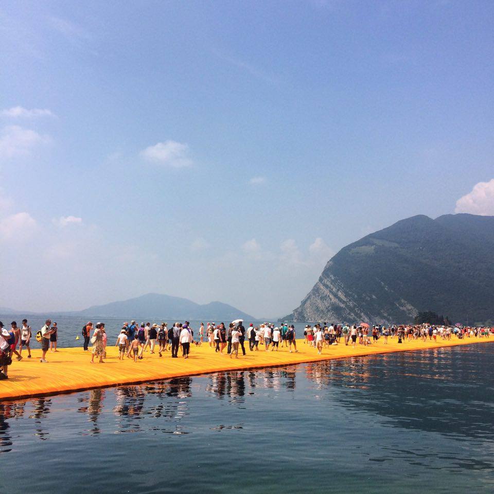 13565622_10210118994799767_232205702_n