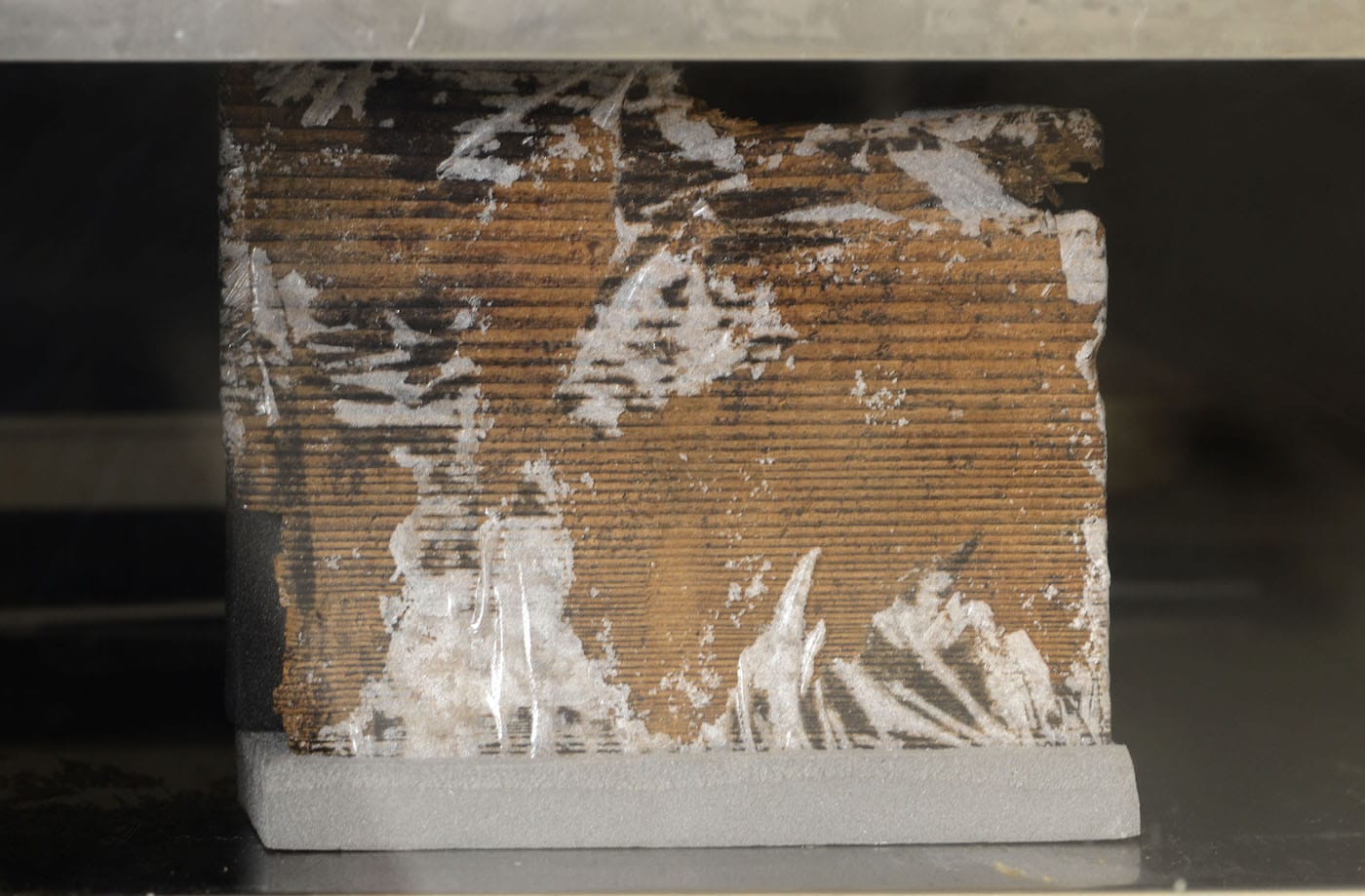 19. Tablet being conserved in a freeze drier (c) MOLA