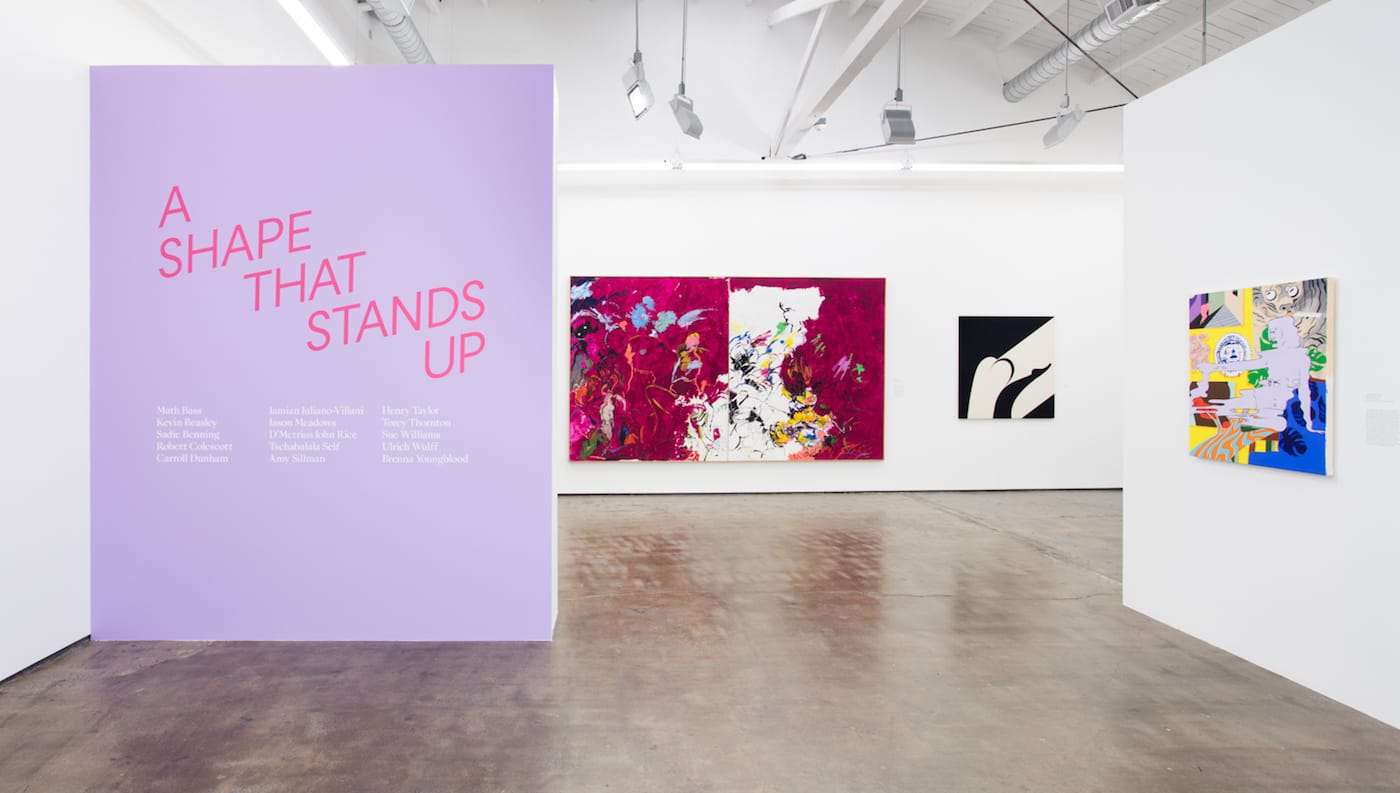 Installation view of 'A Shape That Stands Up,' Art + Practice, Los Angeles, March 19–June 18, 2016. Photo by Brian Forrest.