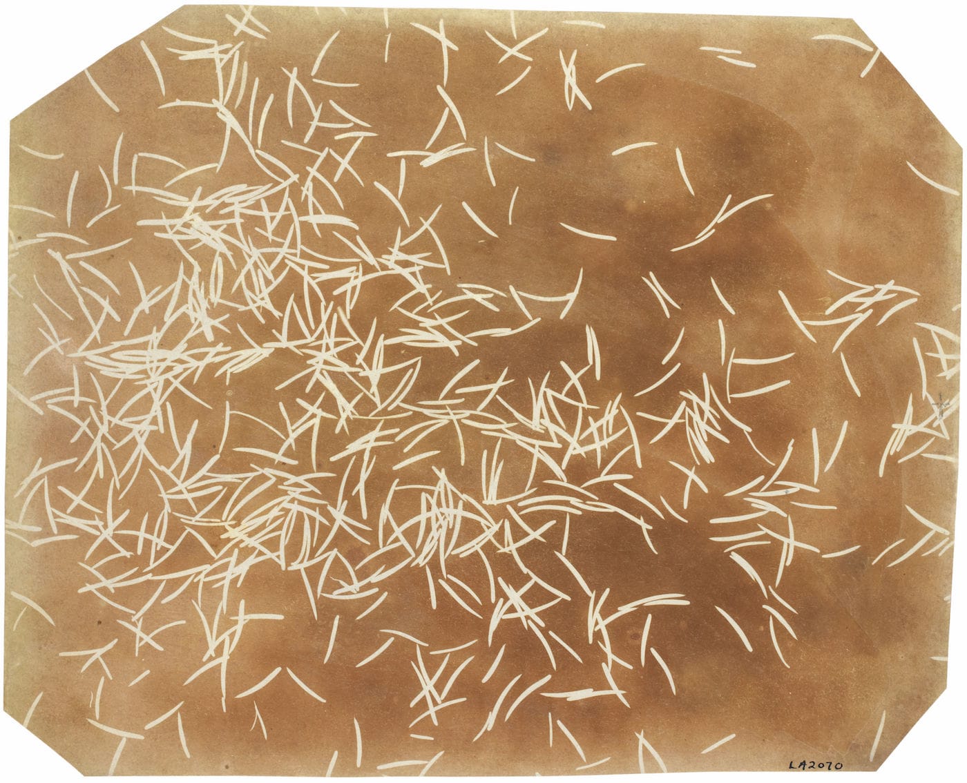 Emanations: The Art of the Cameraless Photograph