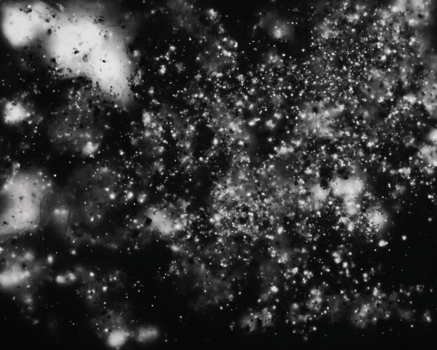 Shimpei Takeda, "Trace #7, Nihonmatsu Castle (Nihonmatsu, Fukushima)" (2012), gelatin silver photograph, 40.0 × 50.5 cm (courtesy the artist)