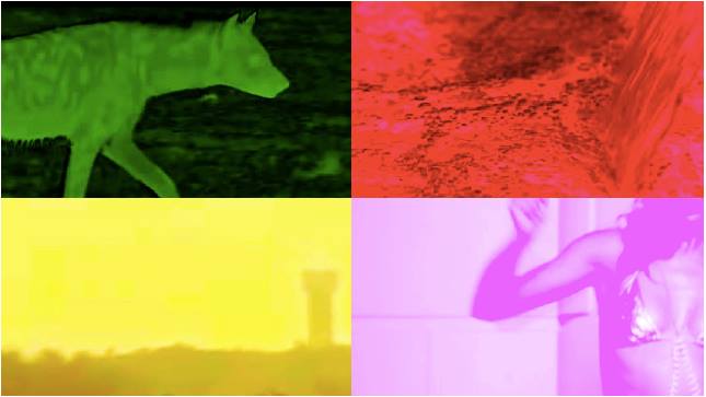 Cameron Platter, U-SAVED-ME (via facebook)