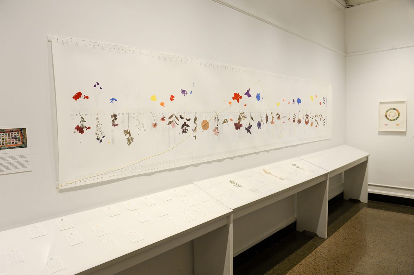 Installation view (image courtesy of Daniel Avila/NYC Parks)