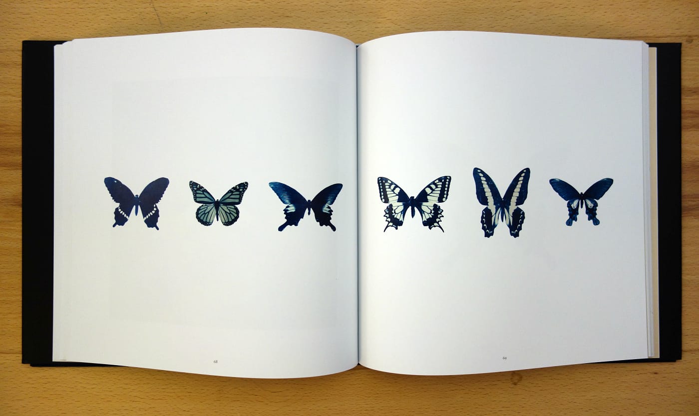 Pages from 'Collections' (photo of the book for Hyperallergic)
