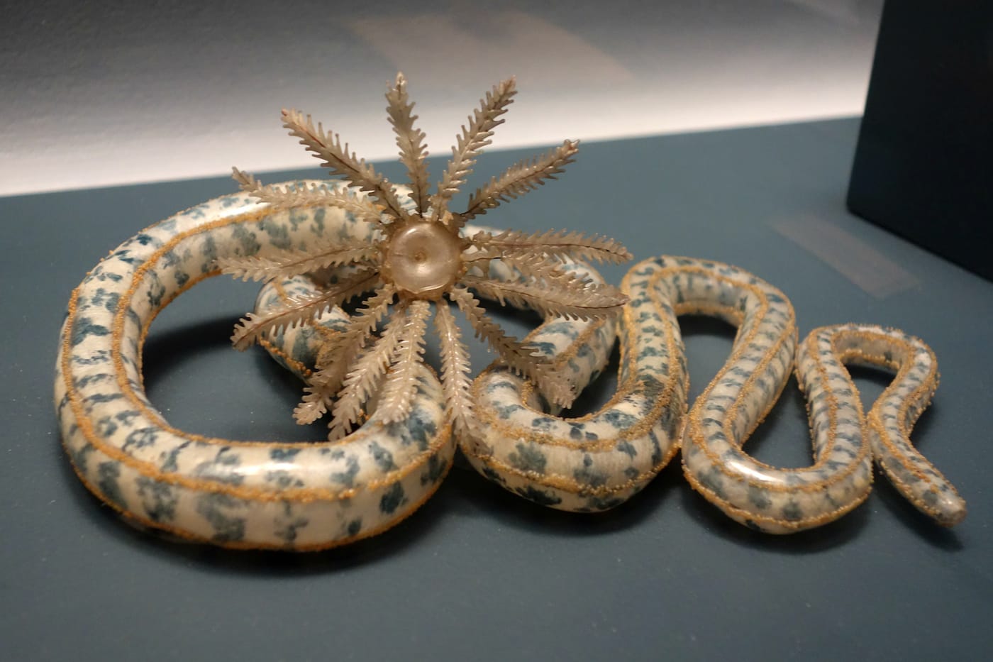 Fragile Legacy: The Marine Invertebrate Glass Models of Leopold and Rudolf Blaschka