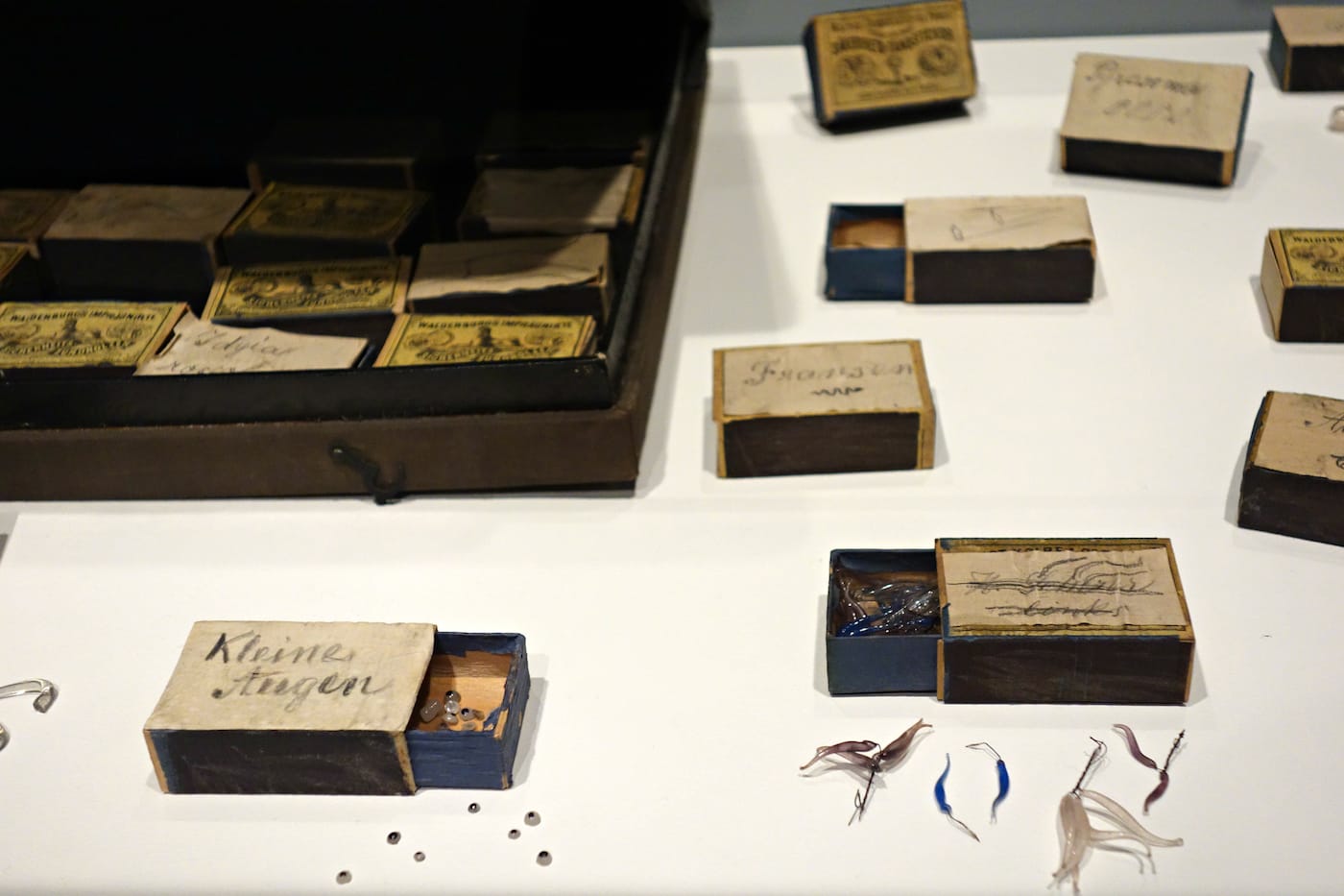 Fragile Legacy: The Marine Invertebrate Glass Models of Leopold and Rudolf Blaschka