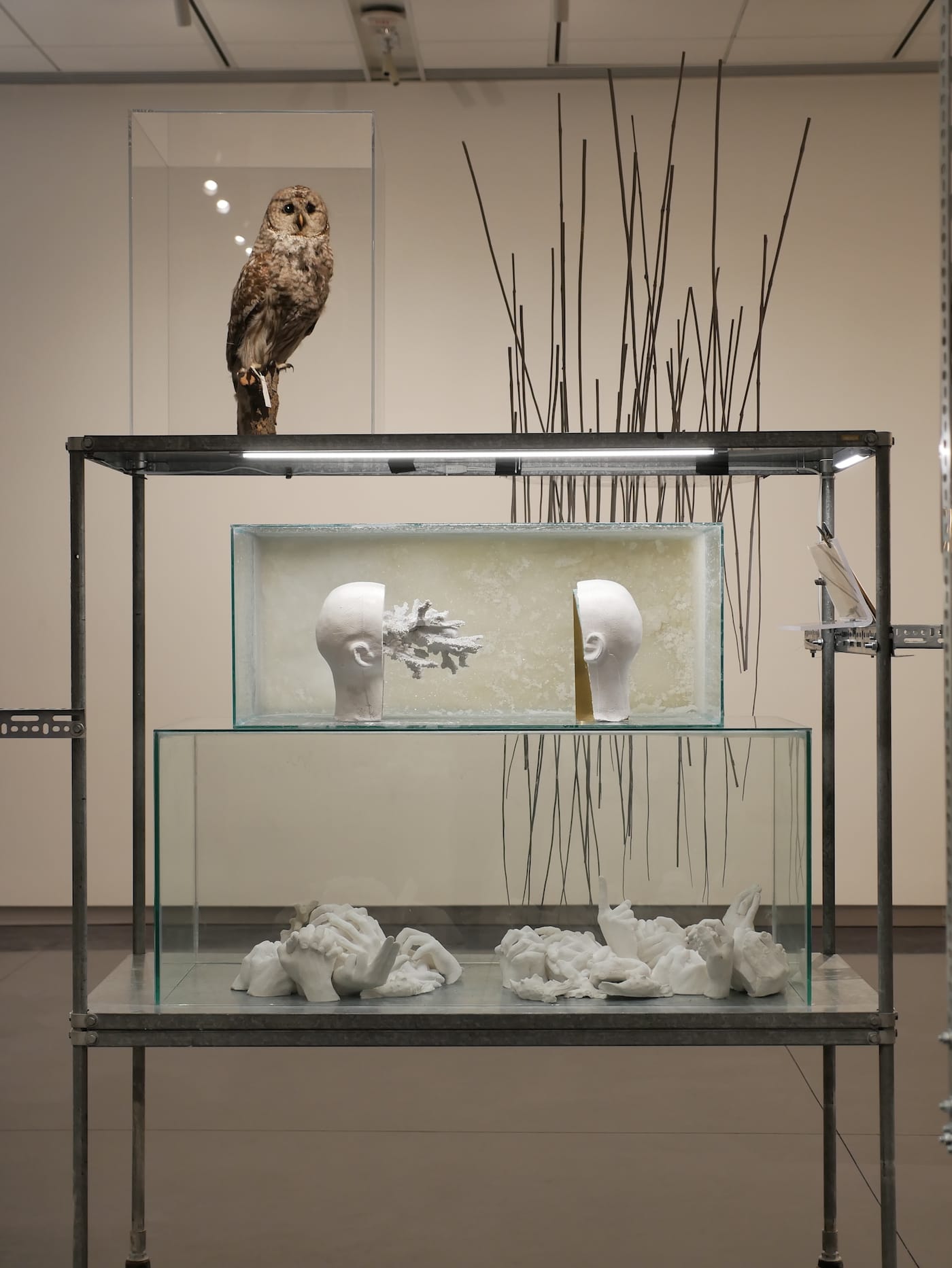 CU Visual Art Museum exhibit. (Photo by Glenn Asakawa/University of Colorado)