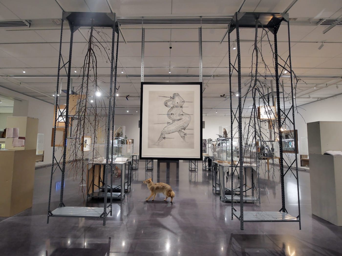 CU Visual Art Museum exhibit. (Photo by Glenn Asakawa/University of Colorado)