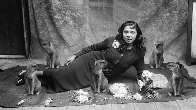 San Francisco-based filmmaker and stereoscopist Bill Domonkos creates these humorous animated GIFs during old images and film. There's something soothing in their strangeness. (via Colossal)