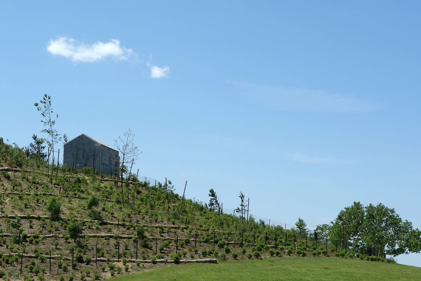 The Hills, Governors Island