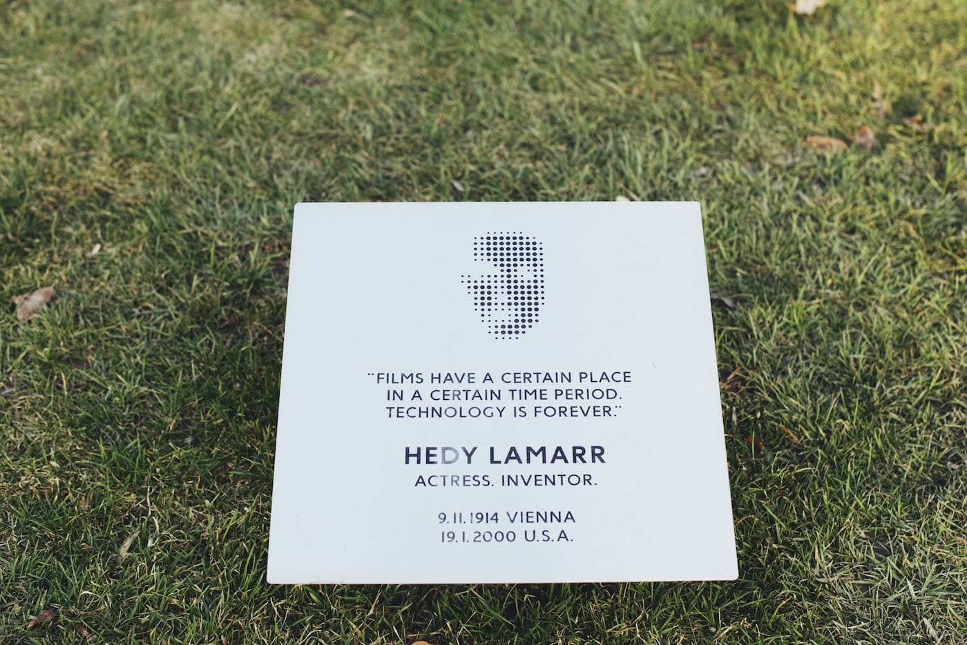 Detail from the proposed Hedy Lamarr Memorial; Photo: Iryna Yeroshko, courtesy of Fund Dreamer