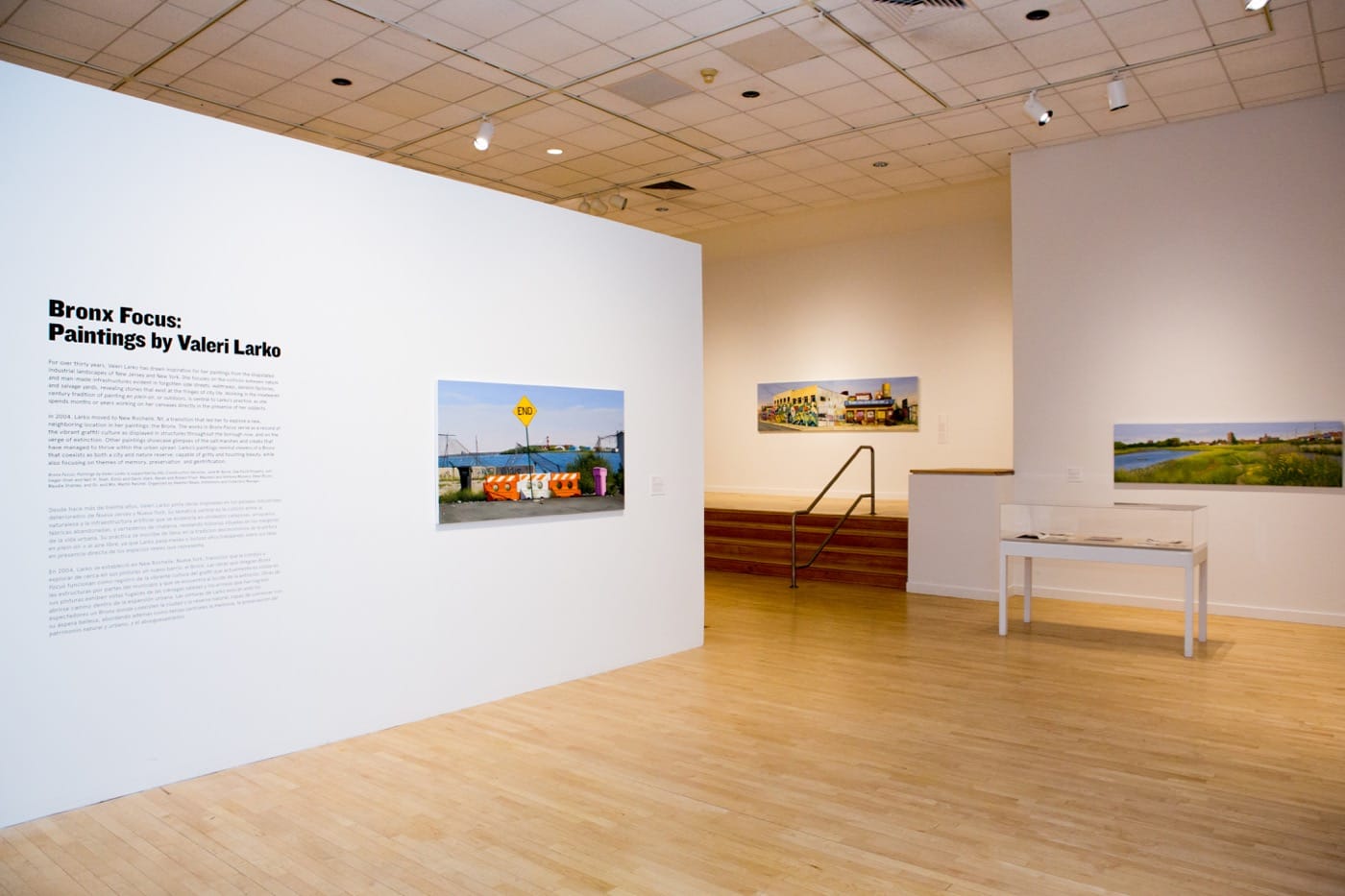 Ferris Stahl Meyer Diptych, 2012 Oil on linen 32 x 116 inches Courtesy of the artist and The Bronx Museum of the Arts 