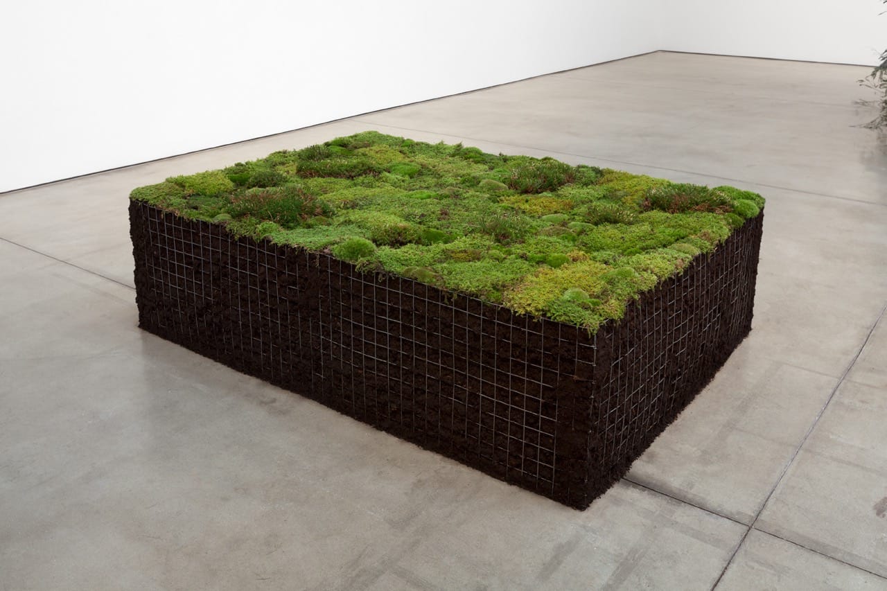 Meg Webster, (All photos of Webster's work ©Meg Webster, courtesy of Paula Cooper Gallery, New York, photo by Steven Probert)